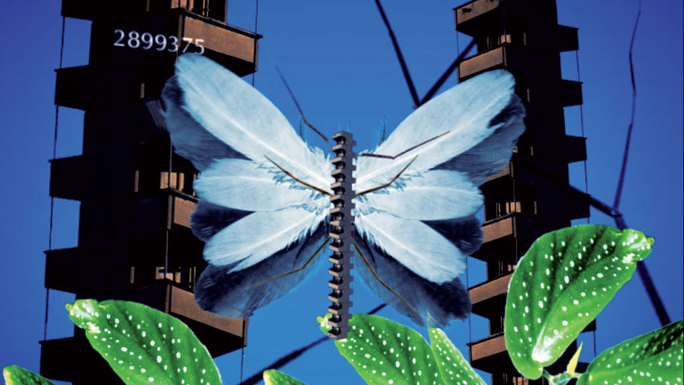PNS Loop - Video art